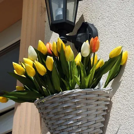 Szálloda Oázis Hotel*** Nagykanizsa